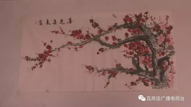 农村大姐的梦想,瓦房店农村大姐