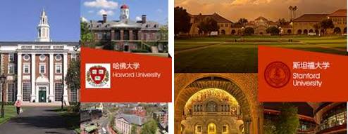 敢来吗？暑假带娃和哈佛MIT学霸创客对决，挑战8000块乐高