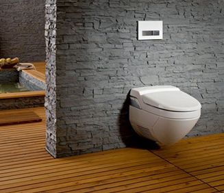 传统马桶对比,马桶真的高级吗