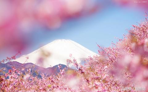 不用签证可以去韩国吗,不用签证能去日本旅游吗