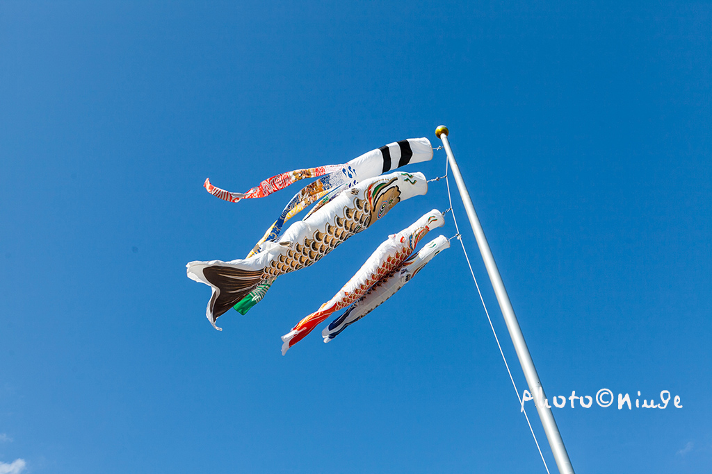 空姐在东京旅游,跟着游东京