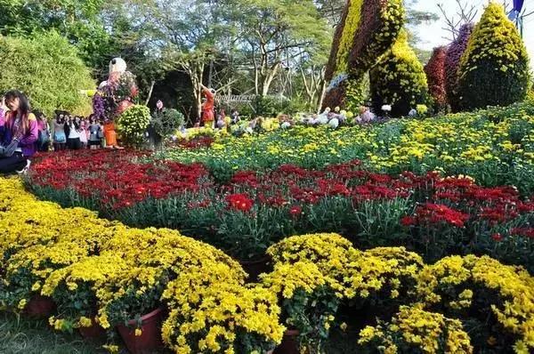 深圳东湖公园门票多少,深圳东湖公园要门票吗