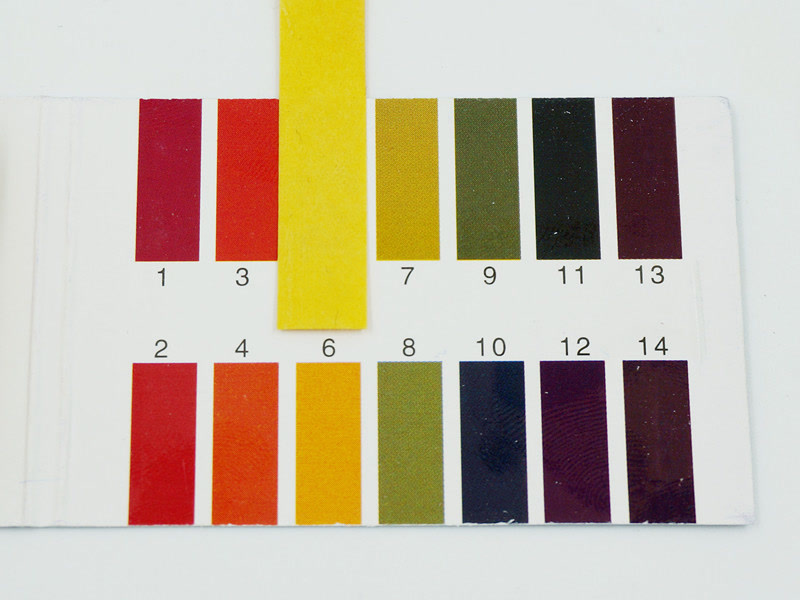 范冰冰介绍的ve霜好用吗,范冰冰同款ve霜