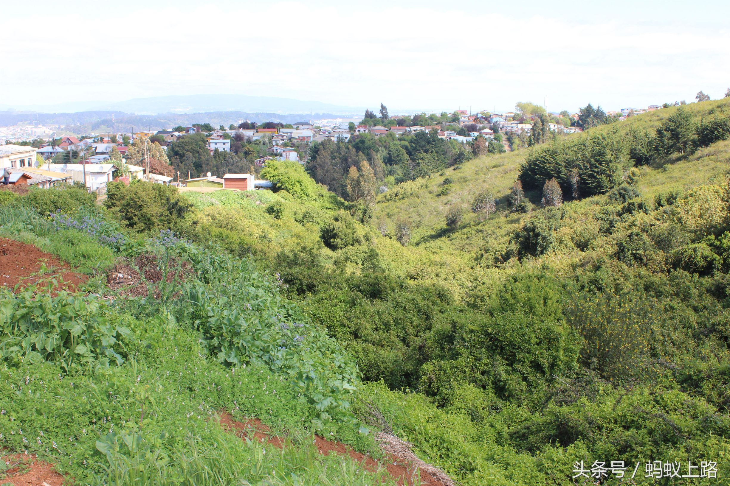 塔尔卡瓦诺智利军港图片,塔尔卡瓦诺城市