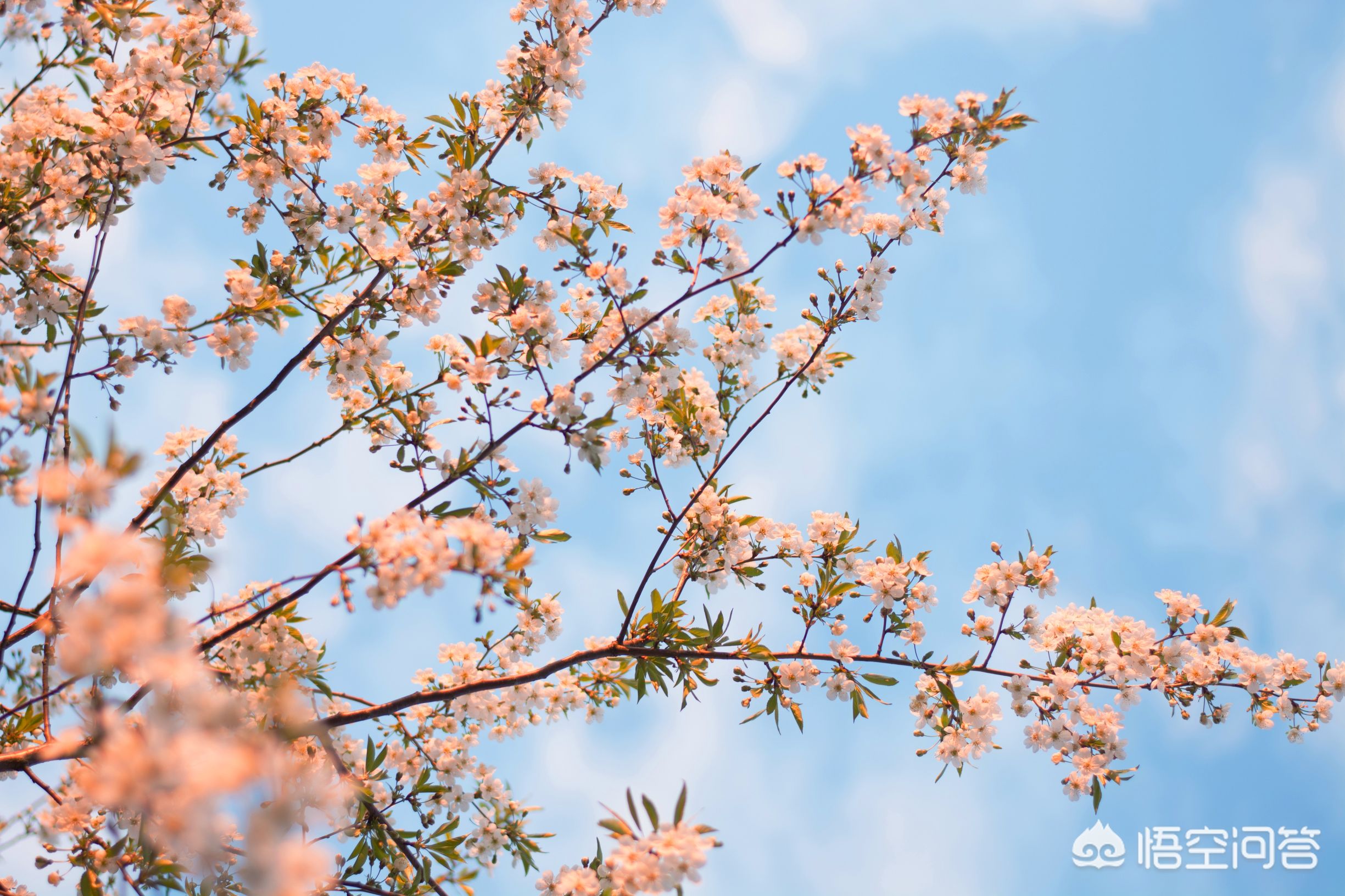 5分钟get十大摄影构图技巧,一般摄影构图常见的4种构图方法