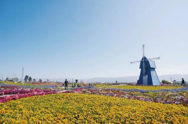 聊城市五一小长假去哪里玩,聊城五一假日攻略