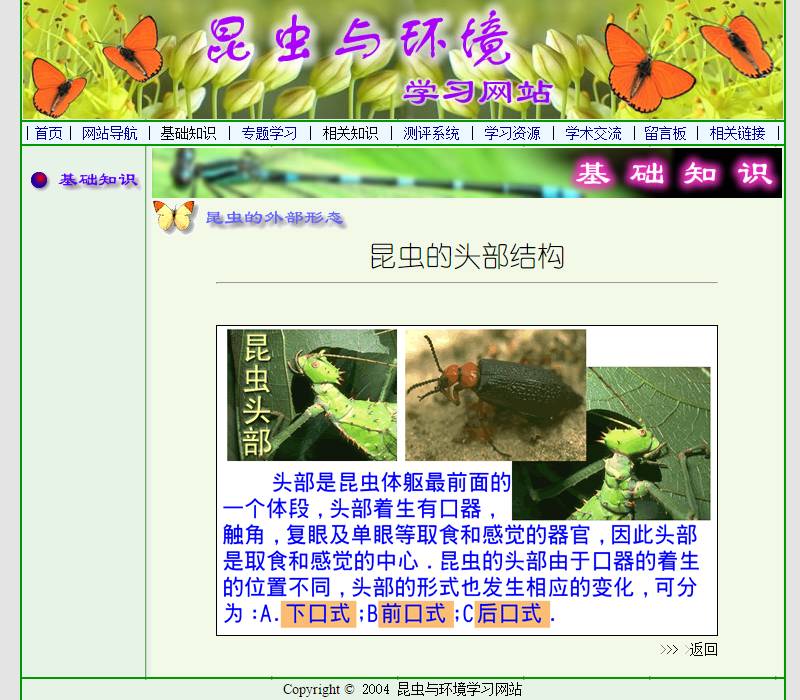 学习昆虫知识的网站,免费学习有趣的昆虫知识