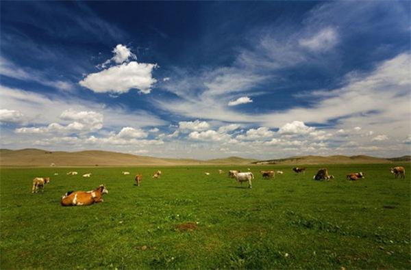 绔崍鑺傛父鐜╁ぉ楣呮箹娌欐哗,绔崍鑺傚ぉ楣呮箹鍥剧墖