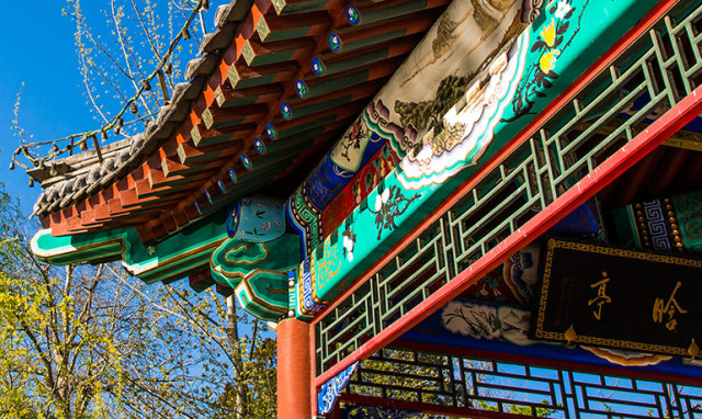 四月是你的生日伴奏,四月是你的生日手语舞完整版