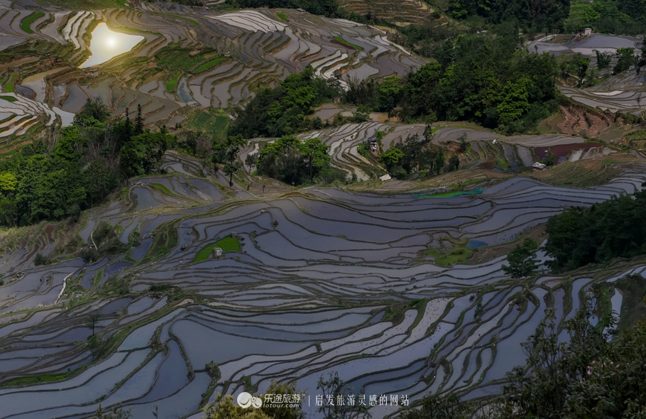 元阳梯田十二庄园香典民宿,元阳梯田世外桃源