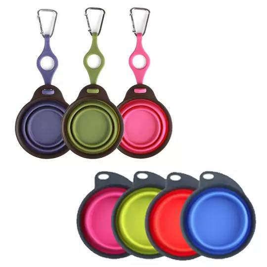 给狗喂饭要喂多少,给狗刷牙的知识