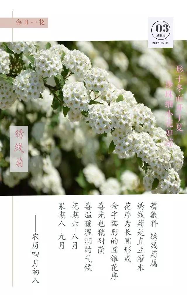 每日分享｜从古到今说来话，不过是情而已,5月3日）