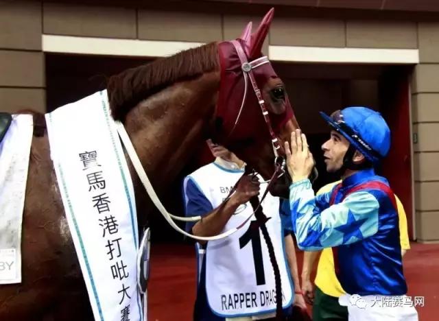 本来有望成为香港马王的赛马不幸骨盆骨裂死亡：已赢2800多万