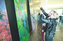 我心中最美的云台山,最美云台山作文