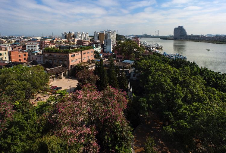 四十年前的广州海珠，有没有你的回忆