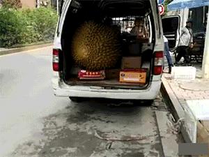 我有一个大胆的想法表情包动图,我有一个大胆的想法幽默搞笑