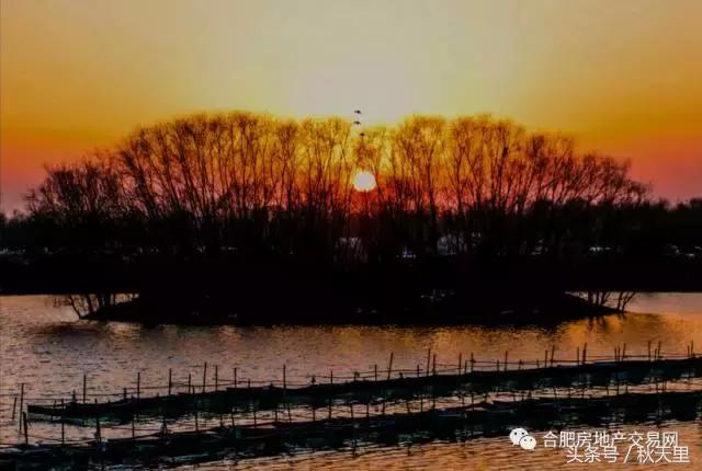 巢湖环湖大道景点,环湖大道巢湖全段