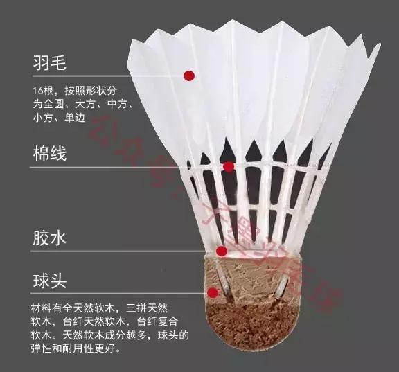 羽毛球全套技术,入门羽毛球必备装备
