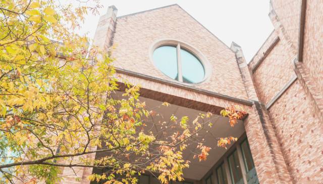 西雅图最浪漫的地方,西雅图一个充满文艺又浪漫的地方