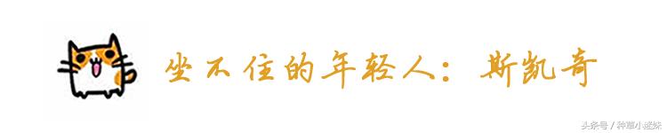 春夏小白鞋排行榜第一名,小白鞋夏季大牌