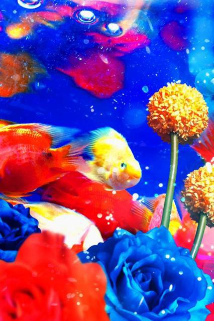 蜷川实花flower,蜷川实花ins