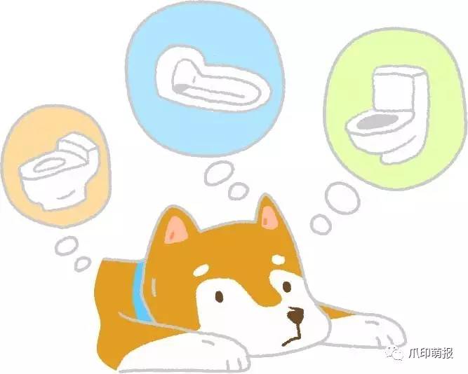 别人家狗尿我身上有什么说法,兽医谈狗尿