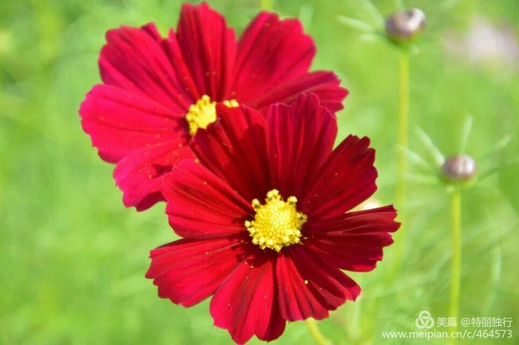 走过四季夏天最美,走过春夏美丽的秋冬