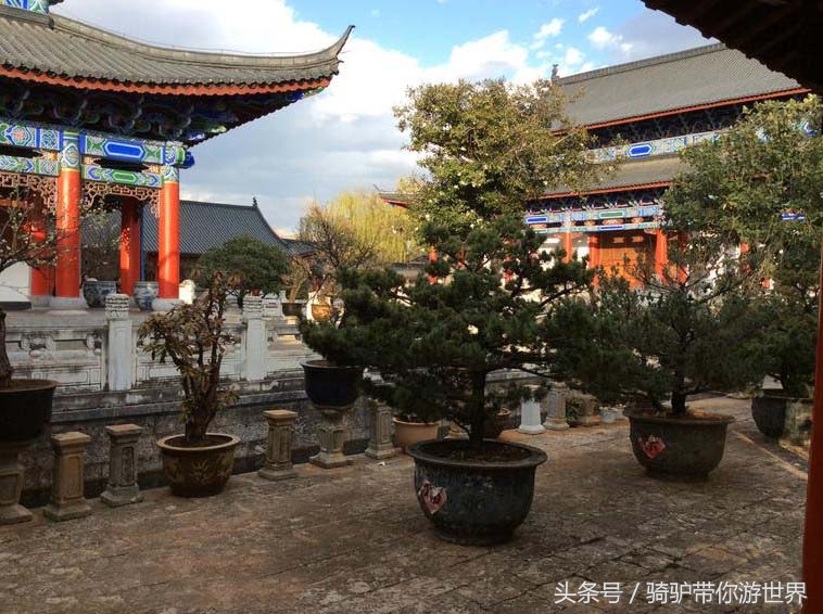 云南木府主人简介,云南木府电视剧