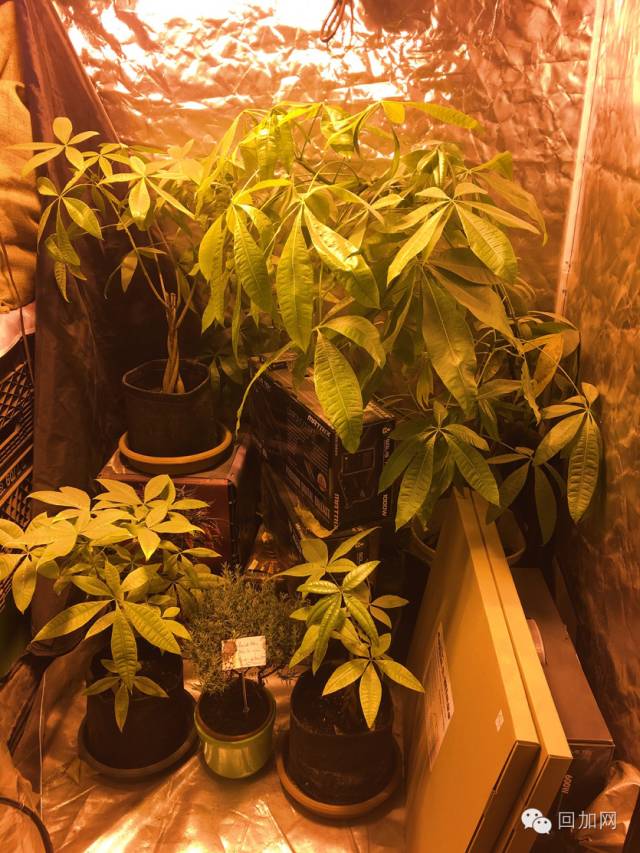 一个人玩儿一下午的地方,一个人玩一天的城市