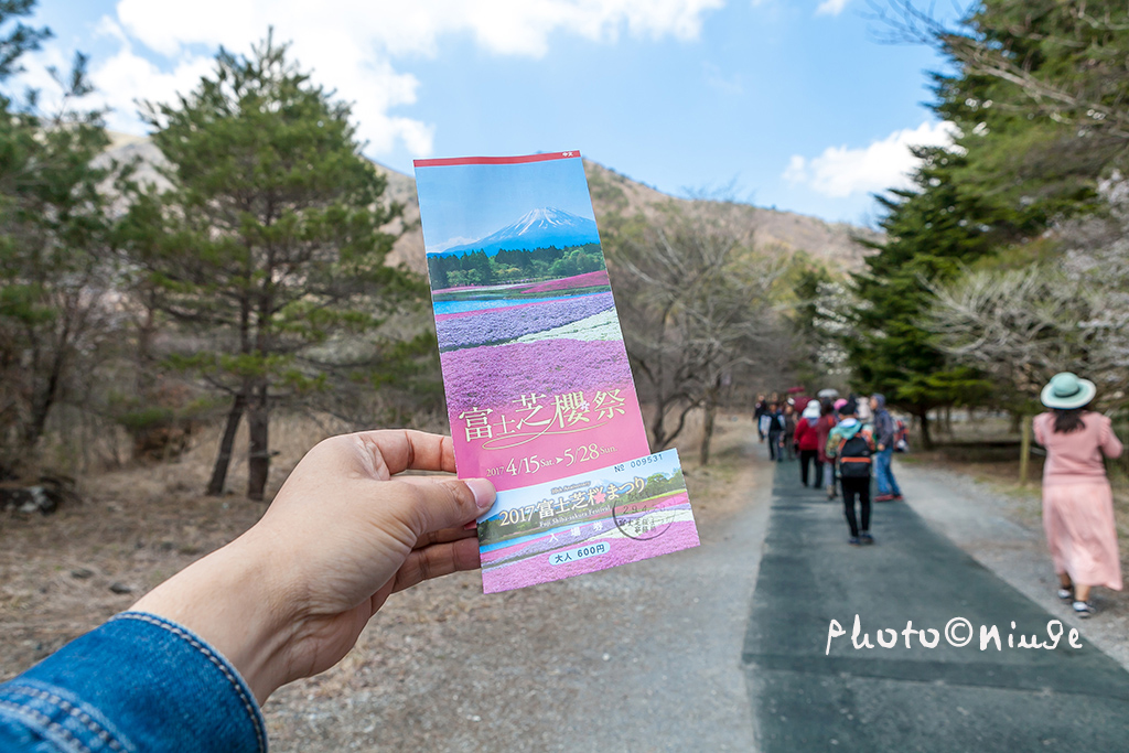 澳门航空空姐游东京 富士山下遇见最美的樱花