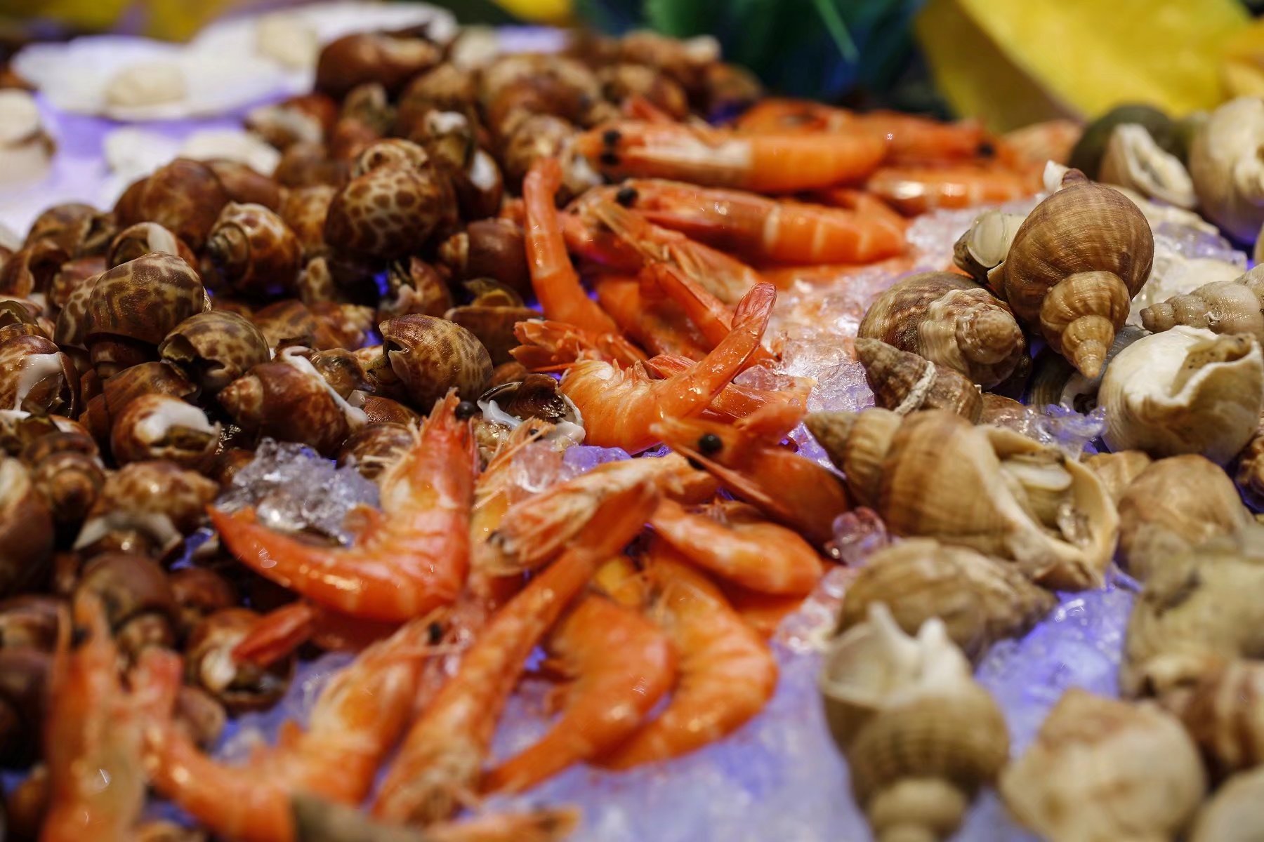 这样的旅游方式合适吗,分享一个周末休闲度假的好去处