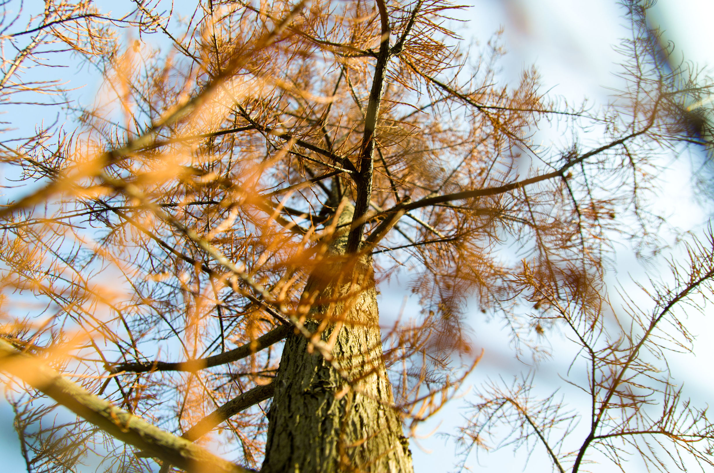 摄影小白推荐相机300左右,拍照好的长焦镜头推荐