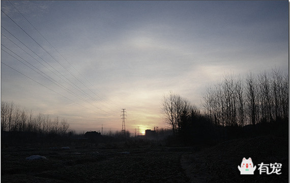 宠事儿：比空巢更可怕的，是虚伪的爱