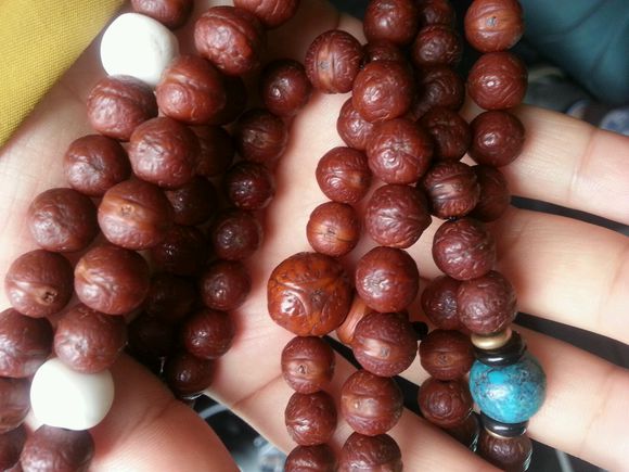 鐙埍鍑ょ溂鑿╂彁,涓栭棿鑿╂彁