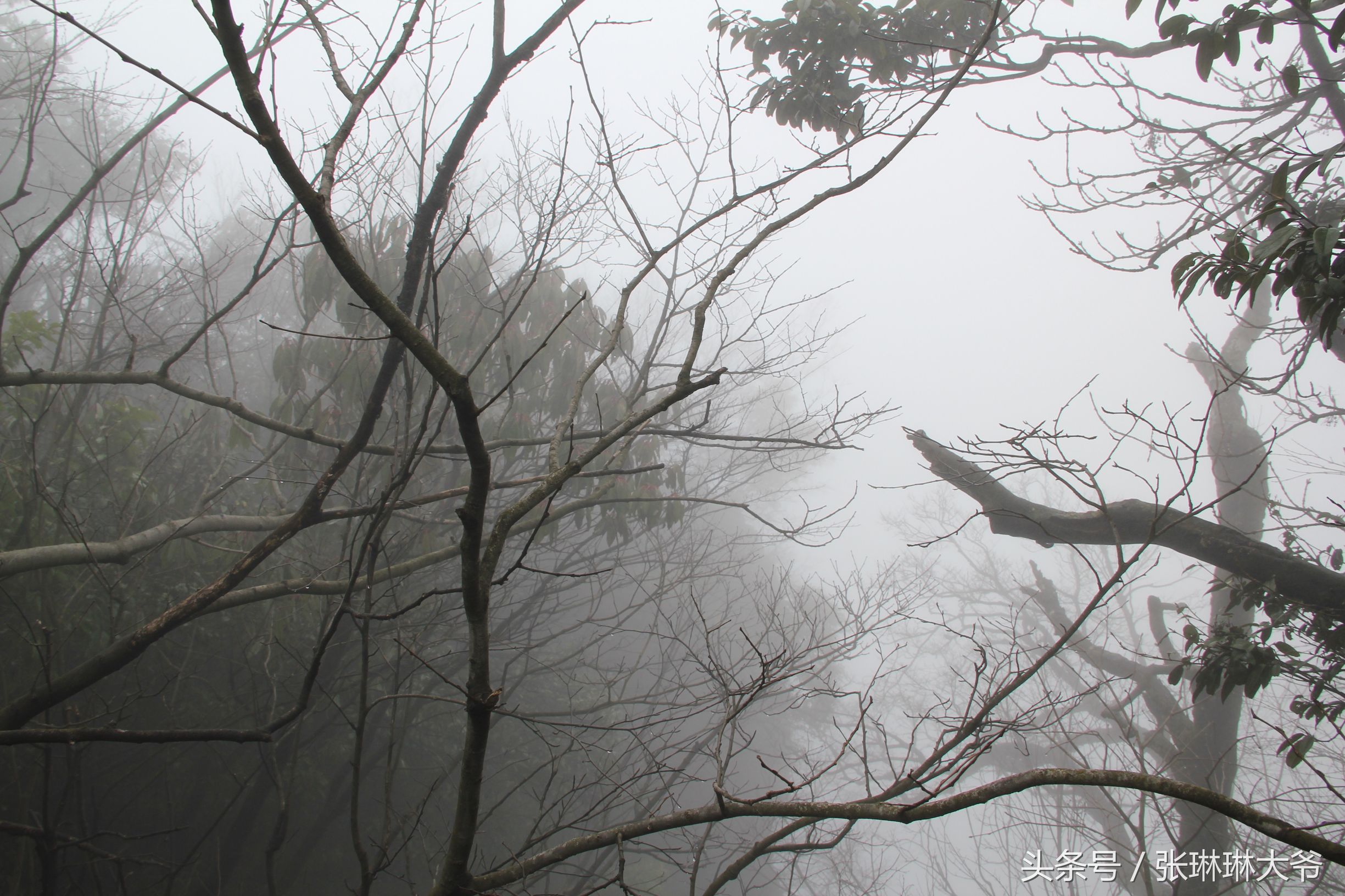 北京姑娘徒步完整视频,北京姑娘旅行