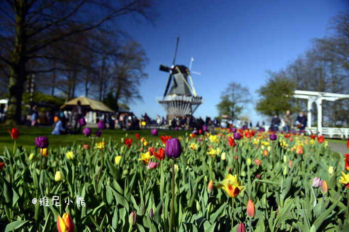 乘着邮轮奢华浪漫游欧洲四国