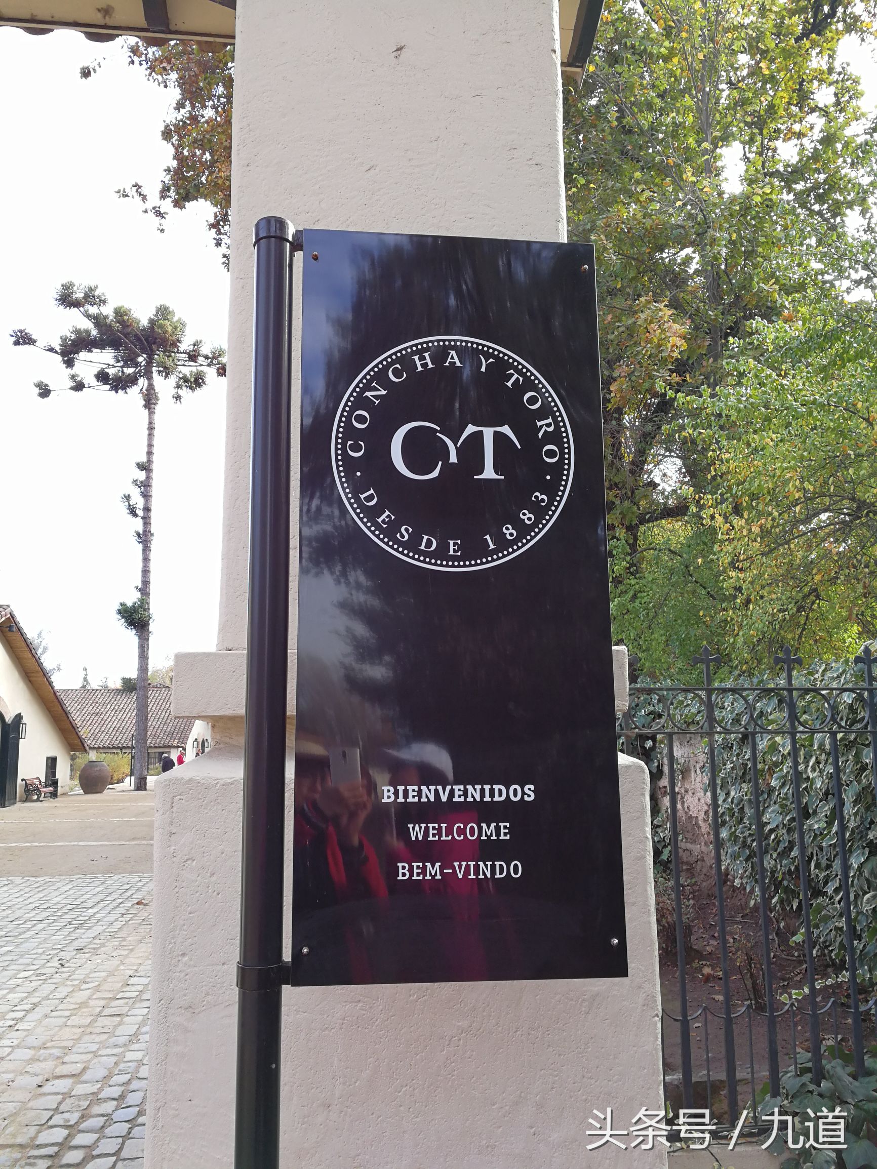 智利佳美娜酒,智利佳美娜品牌推荐