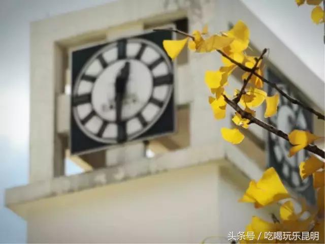 再见了龙狮城,再见了八年级