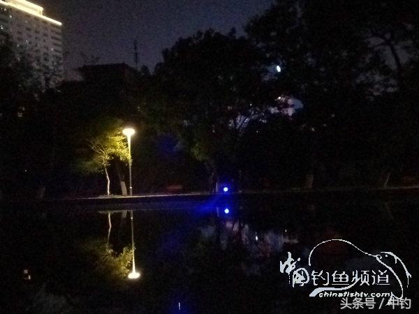 野钓日记第17期,野钓日记19天