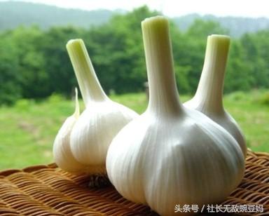 孕妇怀孕一个月嗓子疼怎么办,孕妇怀孕嗓子疼怎么办