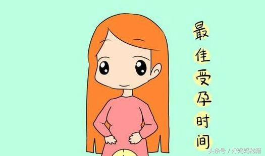 排卵期什么时候受孕最佳,什么时候受孕最佳