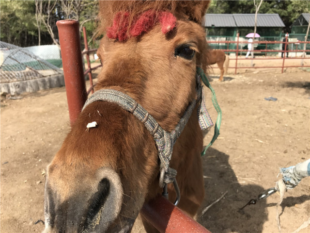 神秘谷步道周边游,神秘谷好玩的地方