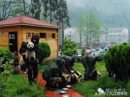 5.12汶川大地震真实影像实录,5.12汶川大地震官方纪录片