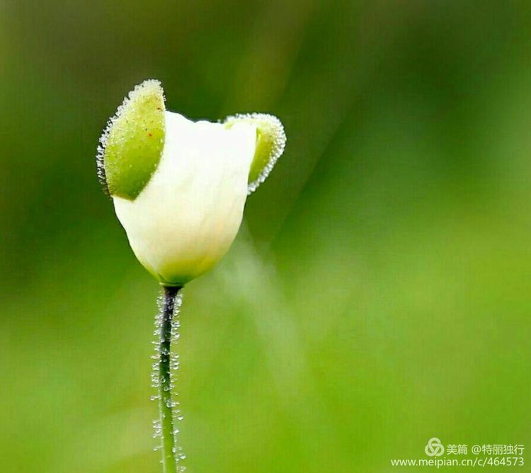 走过四季夏天最美,走过春夏美丽的秋冬