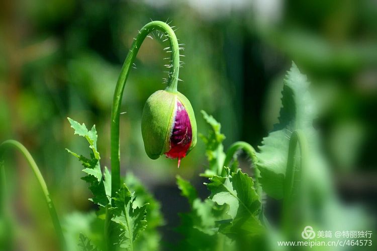 走过四季夏天最美,走过春夏美丽的秋冬