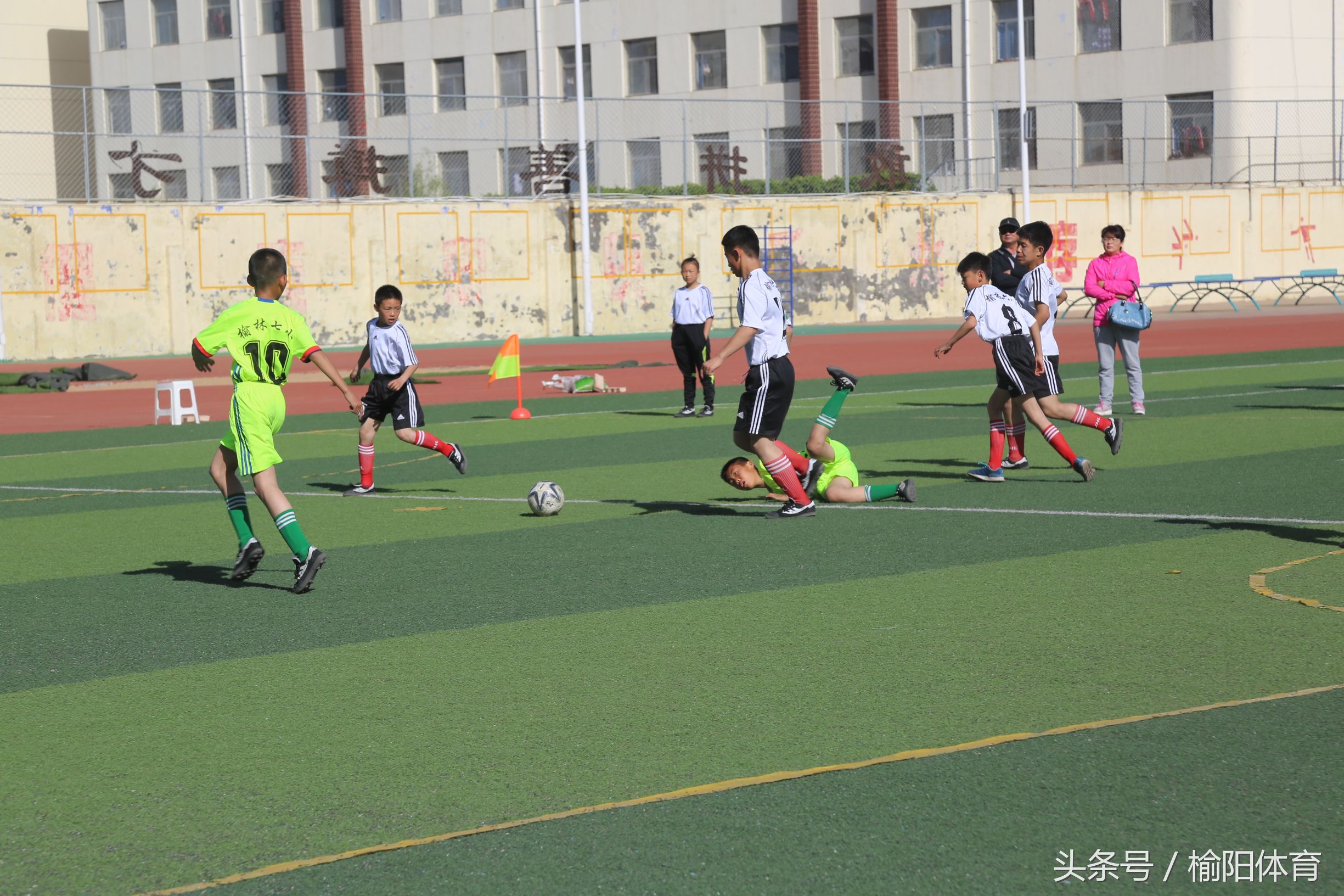 榆阳区中小学生运动会运动项目,榆林市中小学生研学实践活动
