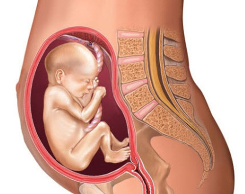怀孕了可以陪病人做ct和磁共振吗,孕妇能接触做核医学的病人吗