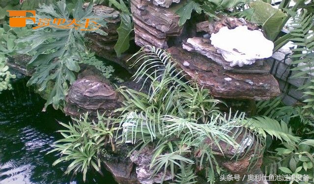 大型鱼池建造过程及施工方法,省钱鱼池建造过程及施工方法