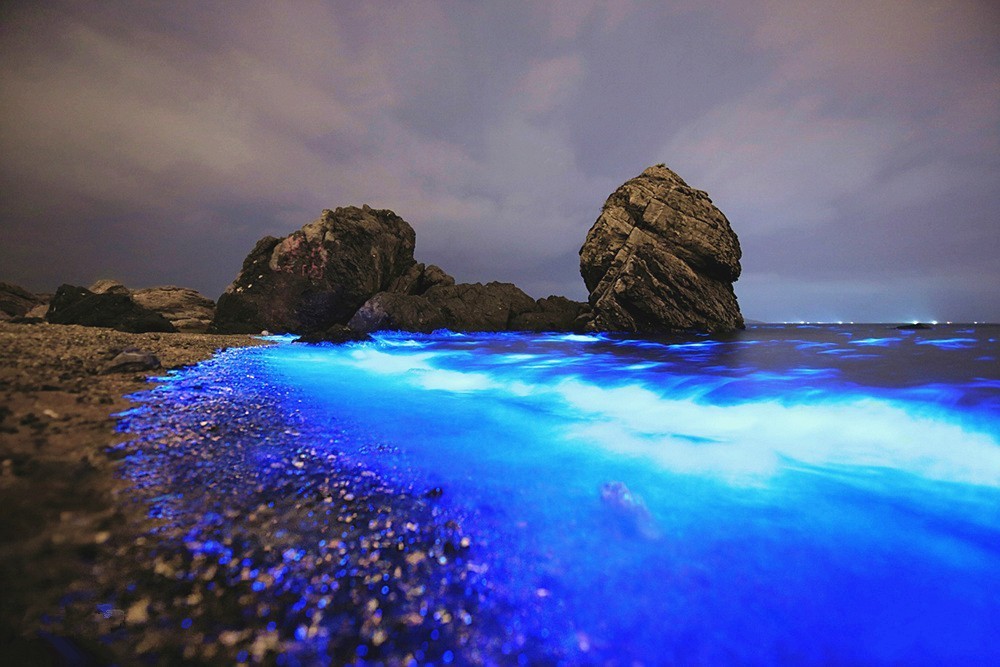 浙江最适合露营的6个好去处,浙江最佳的露营之地