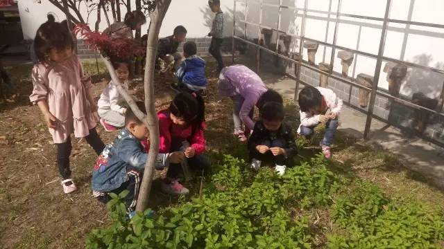 五月的小可爱们视频,五月可爱的小宝宝